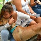 Jornada de bienestar animal este 2 de agosto.