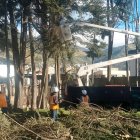 Trabajadores municipales han intensificado la poda de árboles, en medio de la alerta por fuertes vientos en Quito.