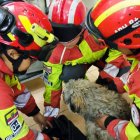 Bomberos de Quito rescatan a perrita que estaba en labor de parto en un balcón de una vivienda en el Centro Histórico.