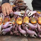 Referencial. SENAE frustra envío ilegal de mariscos a Estados Unidos30-12-2023-Vendedor de cangrejo.