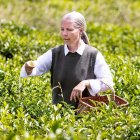 Para la investigación, el equipo utiliza suelos que imitan las condiciones de la Luna y Marte.