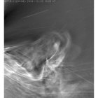 Real. Fotografía muestra el viento solar saliendo de la atmósfera exterior del Sol, la corona.