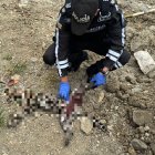 Policía Nacional atendió el caso.