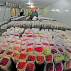 Afectados. El sector florícola es uno de los más afectados y pasará a pagar alrededor del 21 % en arancel.