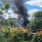 Hecho. Vecinos denunciaron quemas a cielo abierto en una zona boscosa.