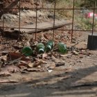 Las tres víctimas del crimen en Bastión Popular tenían entre 17 y 20 años. Otras tres personas quedaron heridas.