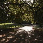 Parisinos se refugian del calor este martes 12 de agosto de 2025, en el parque de Buttes-Chaumont de la capital francesa.