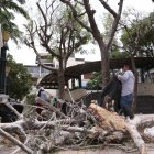 Así se apilaban las ramas podadas.