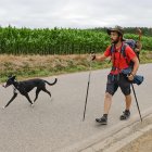 Adrián y su perrita Laika llegan a Santiago tras veinte días caminando.