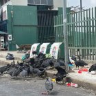 La basura se acumula en un área del Malecón de Quevedo, cerca al Mercado del Río.