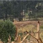 Hecho. Los vecinos captaron a la maquinaria en medio de la vegetación.