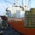 Cajas de banano transportadas para ponerlas en contenedores para ser exportadas.