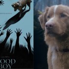 Un perro que se enfrenta a las entidades malignas