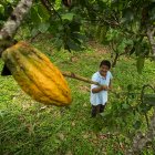 Ecuador exportó a Estados Unidos aproximadamente 250 millones de dólares en 2024.