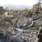 Área quemada en el municipio de Jarilla, en España, este miércoles 20 de agosto de 2025.