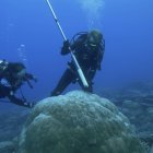 El riesgo de colapso de la Capa de Hielo de la Antártida Occidental (WAIS) es cada vez mayor