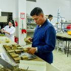 La cáscara de coco transformada en ladrillos para usarlos como carbón.