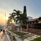 En el sector de Lomas de Urdesa se observan fachadas con vegetación, pero no es un panorama común en Guayaquil.