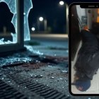 Un usuario grabó al guardia de seguridad maniatado.