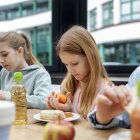 Estas son algunas comidas fáciles de preparar para los que más quieres y no quitan nada de tiempo