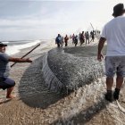 La xávega, una práctica ancestral de pesca propia de varias regiones del norte y el centro de Portugal, en la Praia de Torreira.