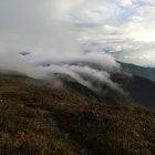 Parque. Parte del Parque Nacional Podocarpus, en Zamora Chinchipe.