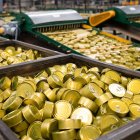 Las industrias se preparan para explorar el mercado asiático.