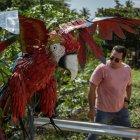 Yhorby Ventura observando una escultura de una guacamaya, en Maracaibo (Venezuela).