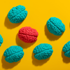 Colesterol y función cerebral: una guía completa. ¿Afecta el colesterol de la dieta al cerebro?