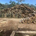 Fuerzas Armadas y ARCOM destruyeron maquinaria usada en tala ilegal en Sucúa, Morona Santiago