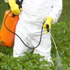 Los científicos proyectan la creación de bioplaguicidas y bioinsumos, a la par de planes de conservación de la biodiversidad.