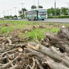 Los residentes denunciaron anteriormente la poda de árboles en La Puntilla.