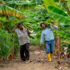 El bono raíces destinará una ayuda económica destinada a hogares vinculados a actividades agropecuarias.