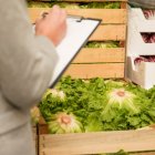 Tras el fin del subsidio al diésel, las autoridades ejecutaron controles en mercados y tiendas de Guayas y Pichincha para evitar abusos en los precios.