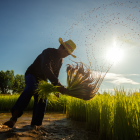 ​Los pagos del Bono Raíces en Ecuador se acreditan desde el 15 de septiembre de 2025 vía BanEcuador.