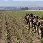 Una mujer levanta las manos mientras los oficiales de Aduanas y Protección Fronteriza extienden su línea de escaramuza hacia un campo de cultivo durante una redada de agentes federales, en Camarillo, California.