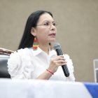 La presidenta del CNE, Diana Atamaint, en una sesión del Pleno del CNE.