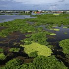 Vista aérea del pueblo de Nueva Venecia, en la Ciénaga Grande de Santa Marta, al norte de Colombia, el 6 de septiembre de 2025.