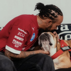 Lewis Hamilton compartió imágenes de Roscoe hospitalizado y pidió oraciones por su recuperación.