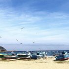 Desde el 5 de septiembre de 2025, en Puerto López se ha presentado un enjambre sísmico.