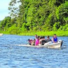 Oriente. Los bosques protegen a las comunidades de enfermedades.