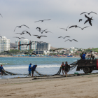 Ampliación del área protegida en Playas busca frenar pesca depredadora y construcciones.