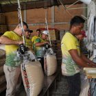 . Trabajadores forman el saco de 100 libras del arroz.