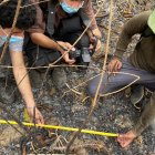 Voluntarios de Proyecto Sacha recién pudieron acceder este domingo 28 de septiembre, pues puntos calientes se mantuvieron días atrás.