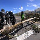 Miembros de la Policía Nacional retiran un árbol que los manifestantes cortaron para obstaculizar una vía a Otavalo.