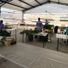 Imbabura. Pocos trabajadores han podido ejercer labores en fincas florícolas.