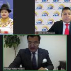 El Pleno del CNE aprobó los informes y calificó a 13 partidos y organizaciones sociales para participar en la campaña del referéndum.