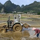 Los agricultores trabajan en un campo de arroz en las afueras de Xingyi, en la provincia de Guizhou, en el suroeste de China, el 29 de septiembre de 2025.