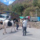 Decenas de camiones y vehículos permanecieron varias horas en la vía Cuenca- Molleturno- El Empalme por el paro nacional.