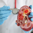 Papaya, jengibre y menta: ingredientes naturales que podrían apoyar la salud renal y digestiva.